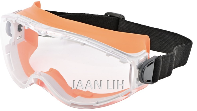 Safety Goggles G10