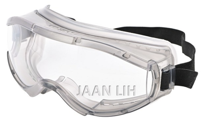 Safety Goggles G20